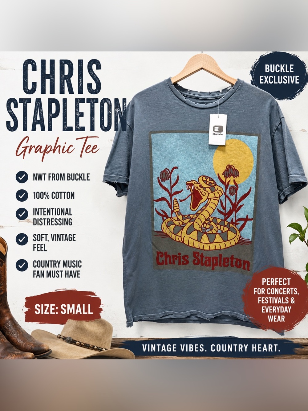 NWT Buckle Chris Stapleton Snake Graphic Band Tee Distressed Blue T-Shirt Small